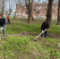В Зерноградском районе продолжается работа по наведению санитарного порядка - Зерноградский район