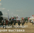 В Зернограде пройдет ежегодная выставка «День Донского поля» - Зерноградский район