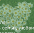 8 июля – День семьи, любви и верности - Зерноградский район