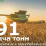 Цифра дня: 291 тысяч тонн ранних зерновых и зернобобовых культур собрано аграриями района - Зерноградский район