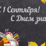 photo 01 09 2025 01 - Зерноградское городское поселение