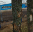 foto 2025 11 27 10 05 001 - Зерноградское городское поселение