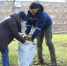 В Зерноградском районе состоялся субботник в рамках месячника чистоты - Зерноградский район